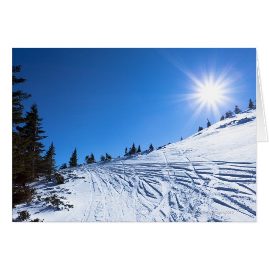 Winter sun 4 cards (Front Horizontal)