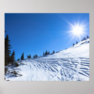 Winter sun 4 poster