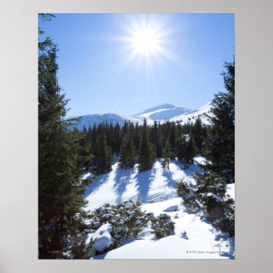 Winter sun 5 poster