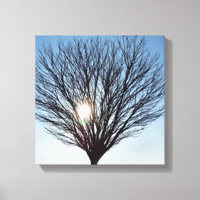 winter sun canvas print (Front)