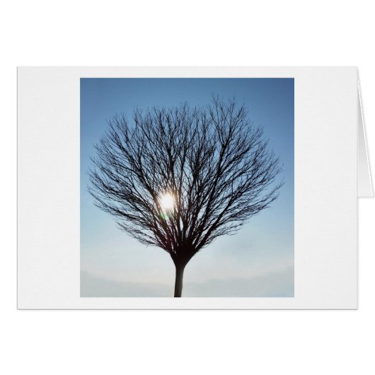 winter sun cards (Front Horizontal)