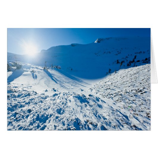 Winter sun cards (Front Horizontal)