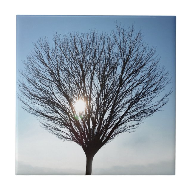 winter sun ceramic tile (Front)