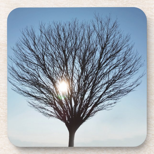 winter sun drink coaster (Front)