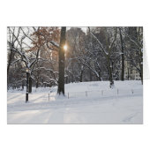 Winter Sunlight Central Park (Front Horizontal)