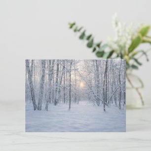 Winter Sunlight in Quiet Birch Forest Enclosure Card