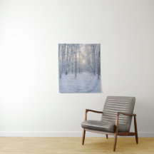Winter Sunlight in Quiet Birch Forest