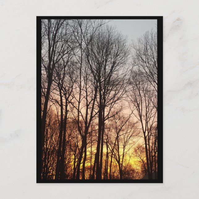 Winter Sunrise-Christmas Morning Holiday Postcard (Front)