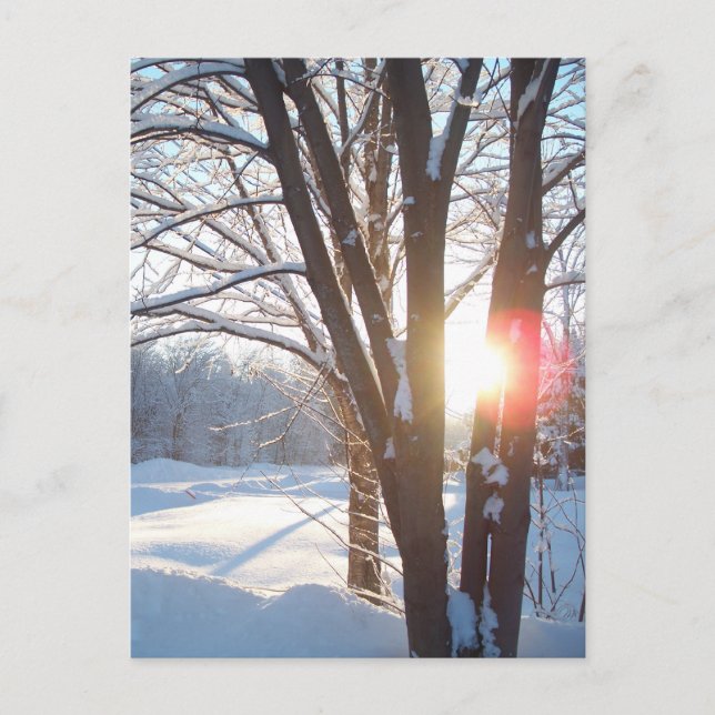 WINTER SUNRISE Customizable Design Postcard (Front)