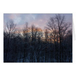 Winter Sunrise I Pastel Nature Landscape
