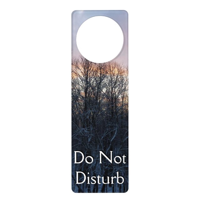 Winter Sunrise I Pastel Nature Landscape Door Hanger (Front)