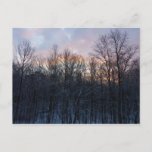 Winter Sunrise I Pastel Nature Landscape Postcard