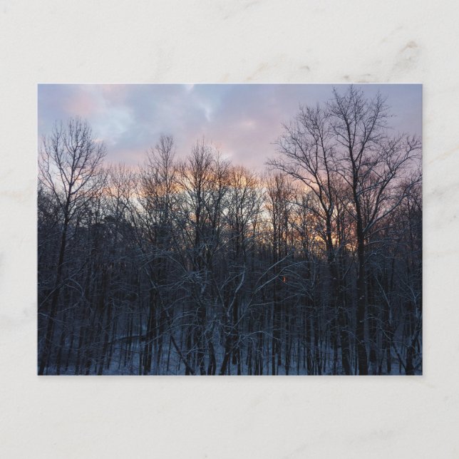 Winter Sunrise I Pastel Nature Landscape Postcard (Front)