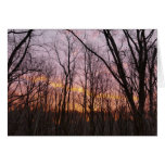 Winter Sunrise II Cards