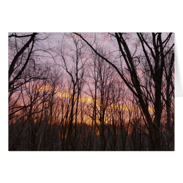 Winter Sunrise II Cards (Front Horizontal)