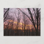 Winter Sunrise II Postcard