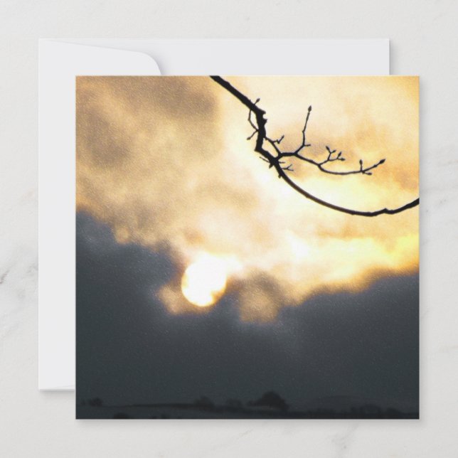 Winter Sunrise Phone Holiday Card (Front)