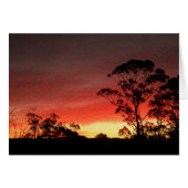 Winter Sunset (Front Horizontal)