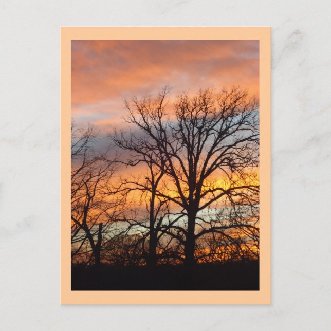 Winter Sunset 1 custom postcard (Front)