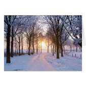 Winter Sunset Cards (Front Horizontal)