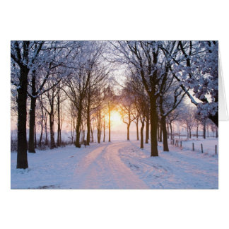 Winter Sunset Cards