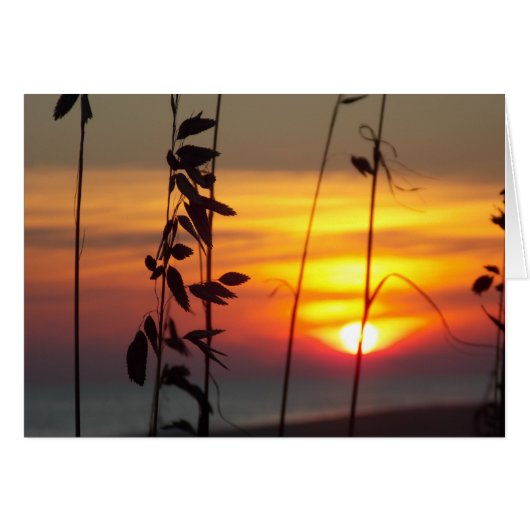 Winter Sunset Cards (Front Horizontal)