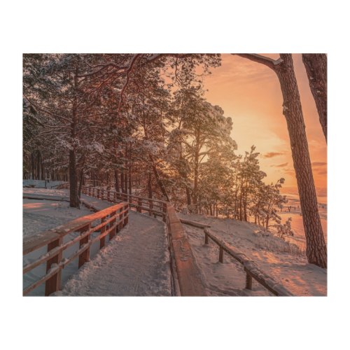 Winter sunset in pine forest near sea wood wall art