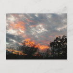 Winter Sunset Nature Landscape Photography Postcard
