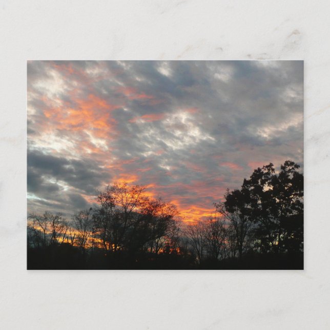 Winter Sunset Nature Landscape Photography Postcard (Front)