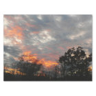 Winter Sunset Nature Landscape Photography