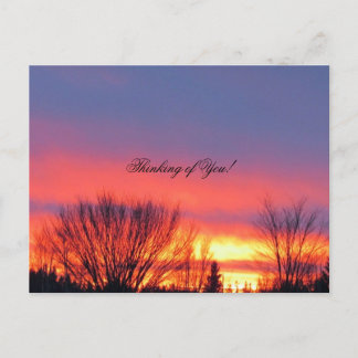 Winter Sunset Postcard