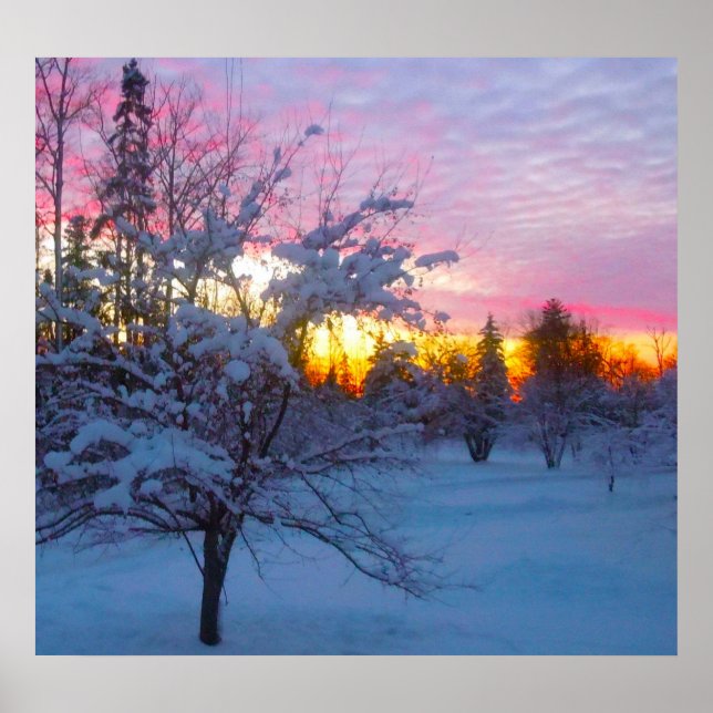 Winter Sunset Poster (Front)