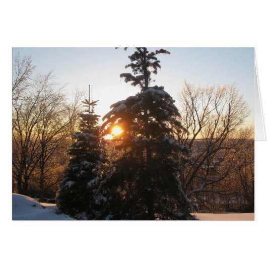 Winter sunset with evergreens cards (Front Horizontal)