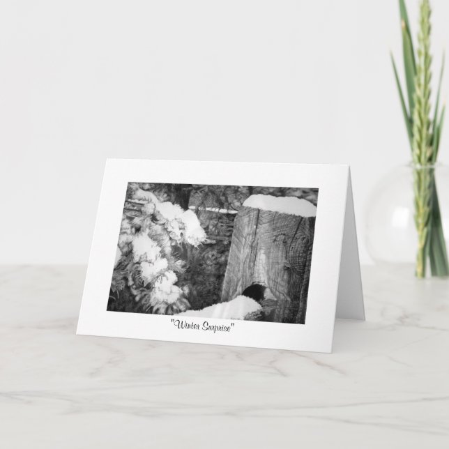 "Winter Surprise" Holiday Card (Front)