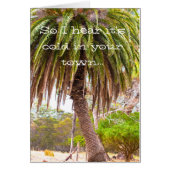 Winter Tease (Front)