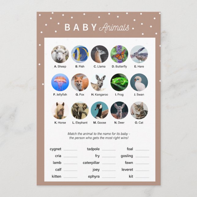 Winter theme Baby Shower Game -Baby Animals Program (Front)