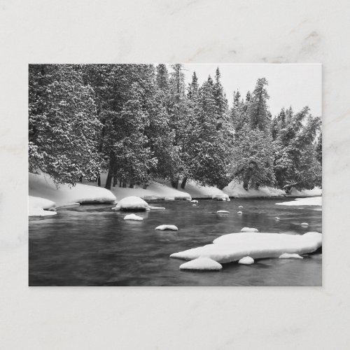 Winter Themed Black And White Beautiful Frozen Ri Postcard