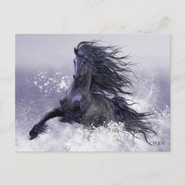 Winter Thunder Postcard (Front)