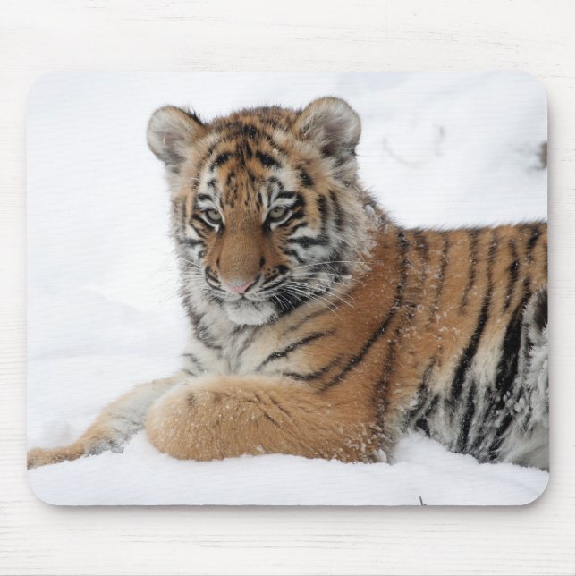 Winter Tiger Mouse Pad (Front)