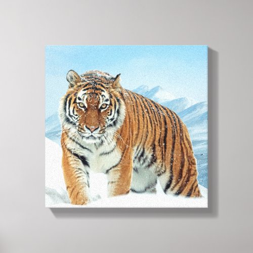 Winter Tiger Snow Mountains Nature Photo Canvas