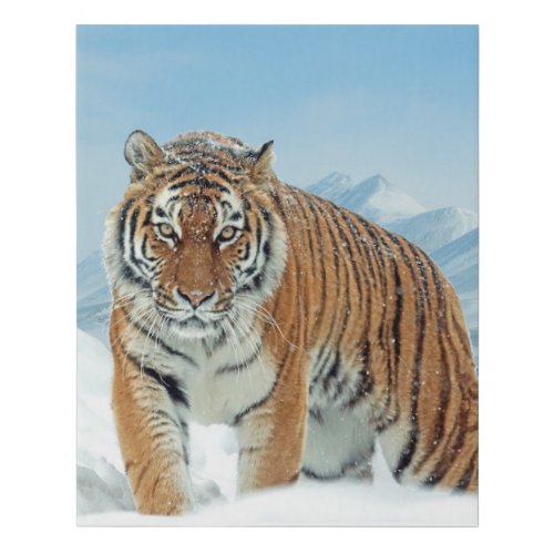 Winter Tiger Snow Nature Photo Mountains Canvas