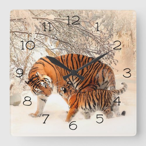 Winter Tigers Square Wall Clock