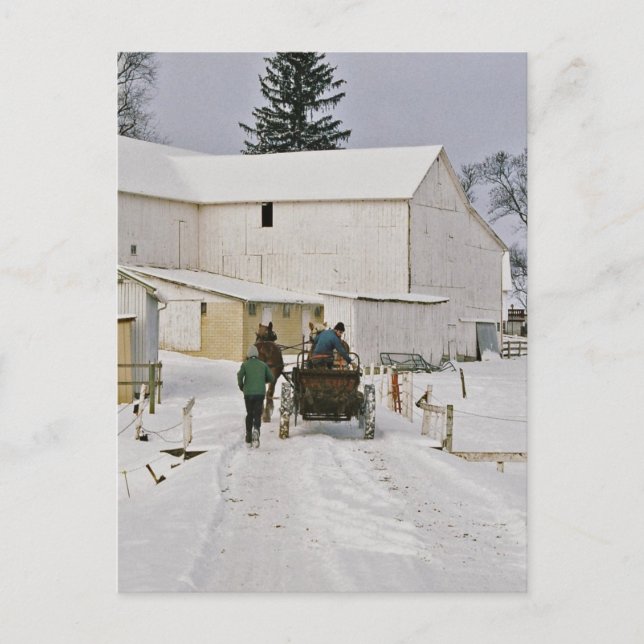 Winter Time Amish Farm-Postcard Postcard (Front)