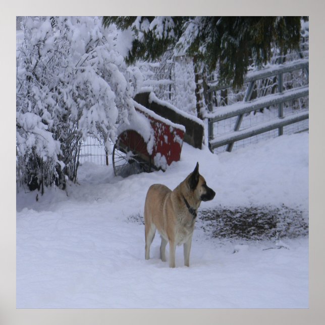 Winter Time.... Poster (Front)