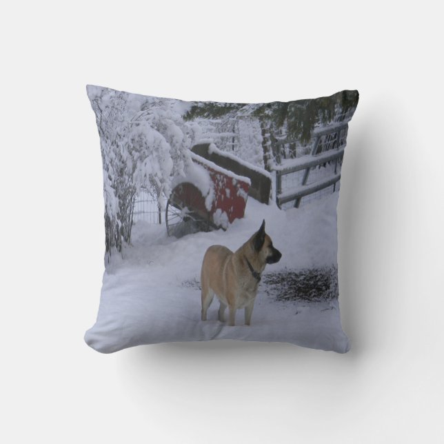 Winter Time..... Throw Pillow (Front)