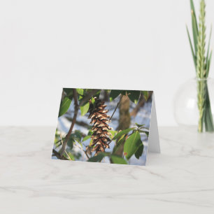 Winter Trail Pine Cone Note Card