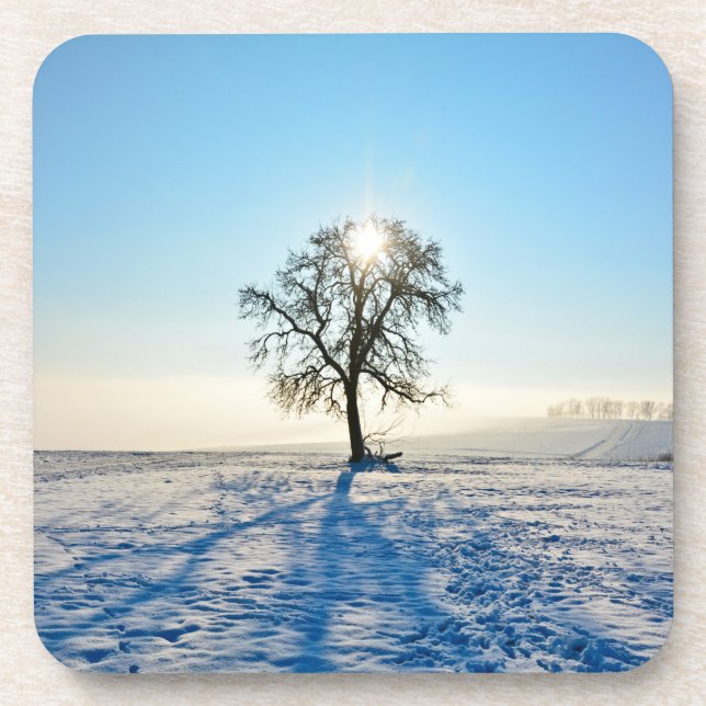 Winter Tree   -     - Beverage Coaster (Front)