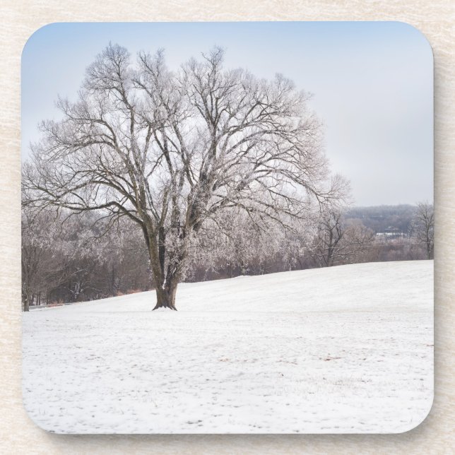 Winter Tree Beverage Coaster (Front)