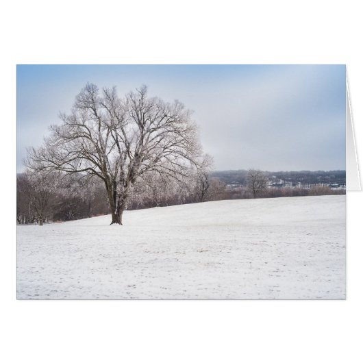 Winter Tree Cards (Front Horizontal)