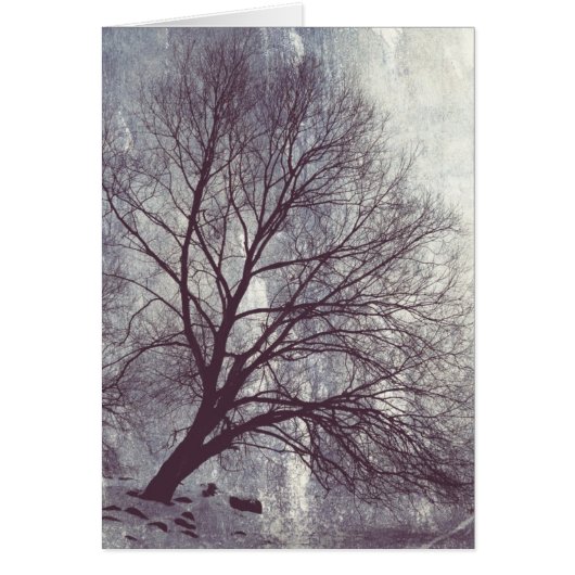 Winter Tree Cards (Front)